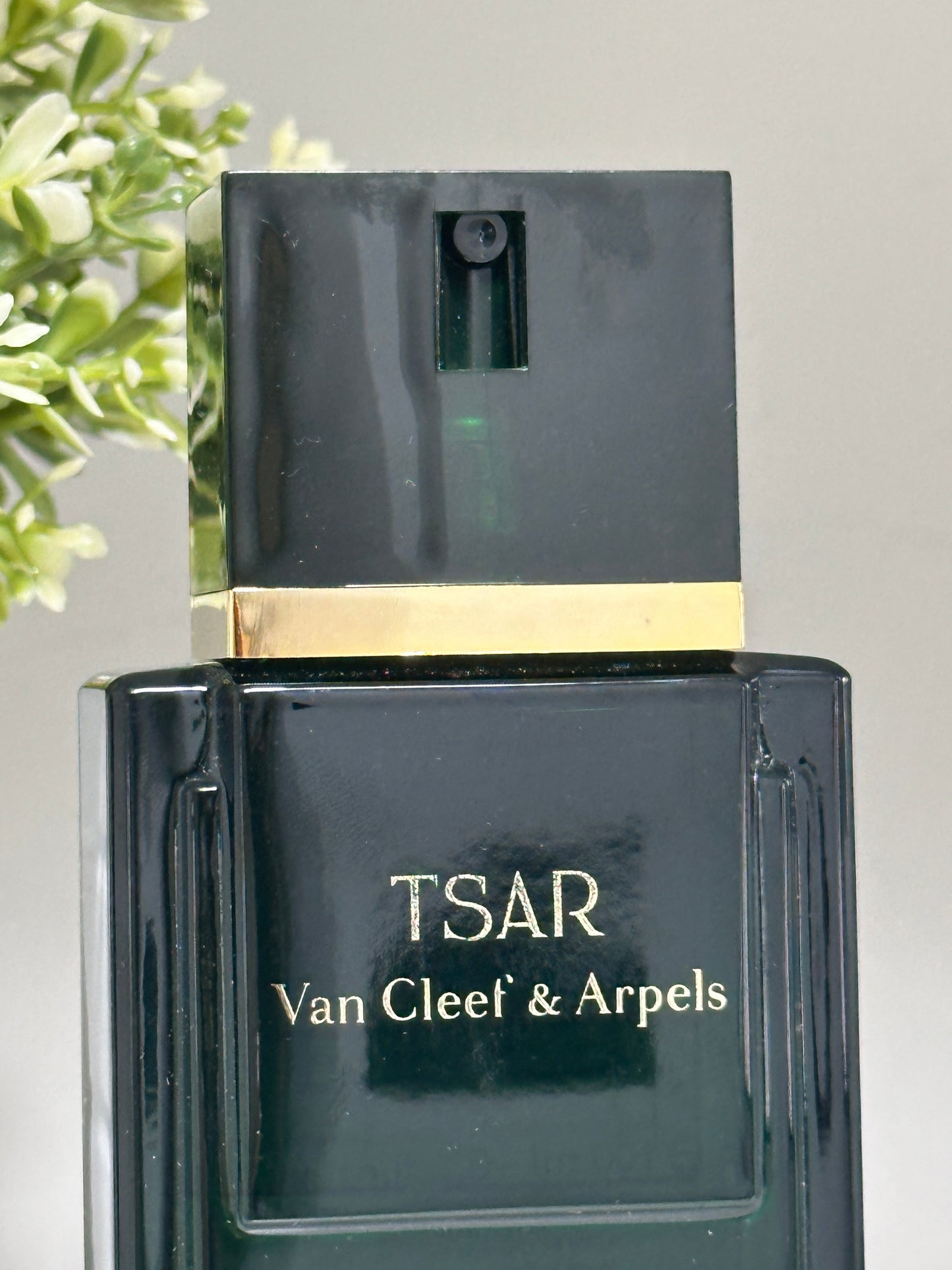 TSAR VAN CLEEF AND ARPELS EAU DE TOILETTE 100ML SPRAY
