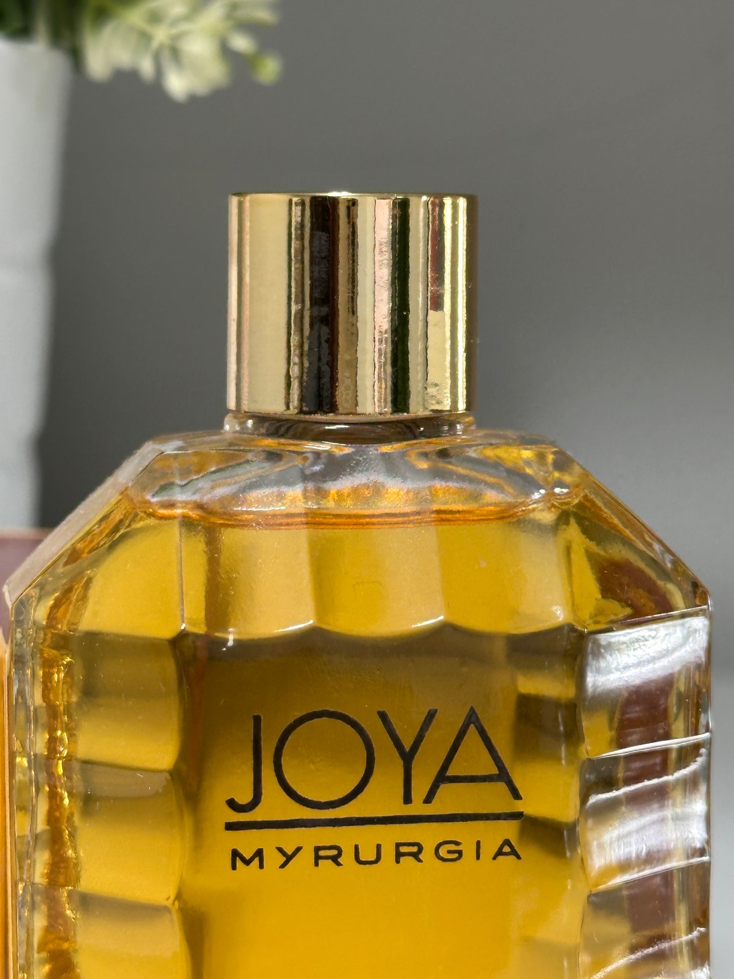 JOYA MYRURGIA COLONIA 100ml
