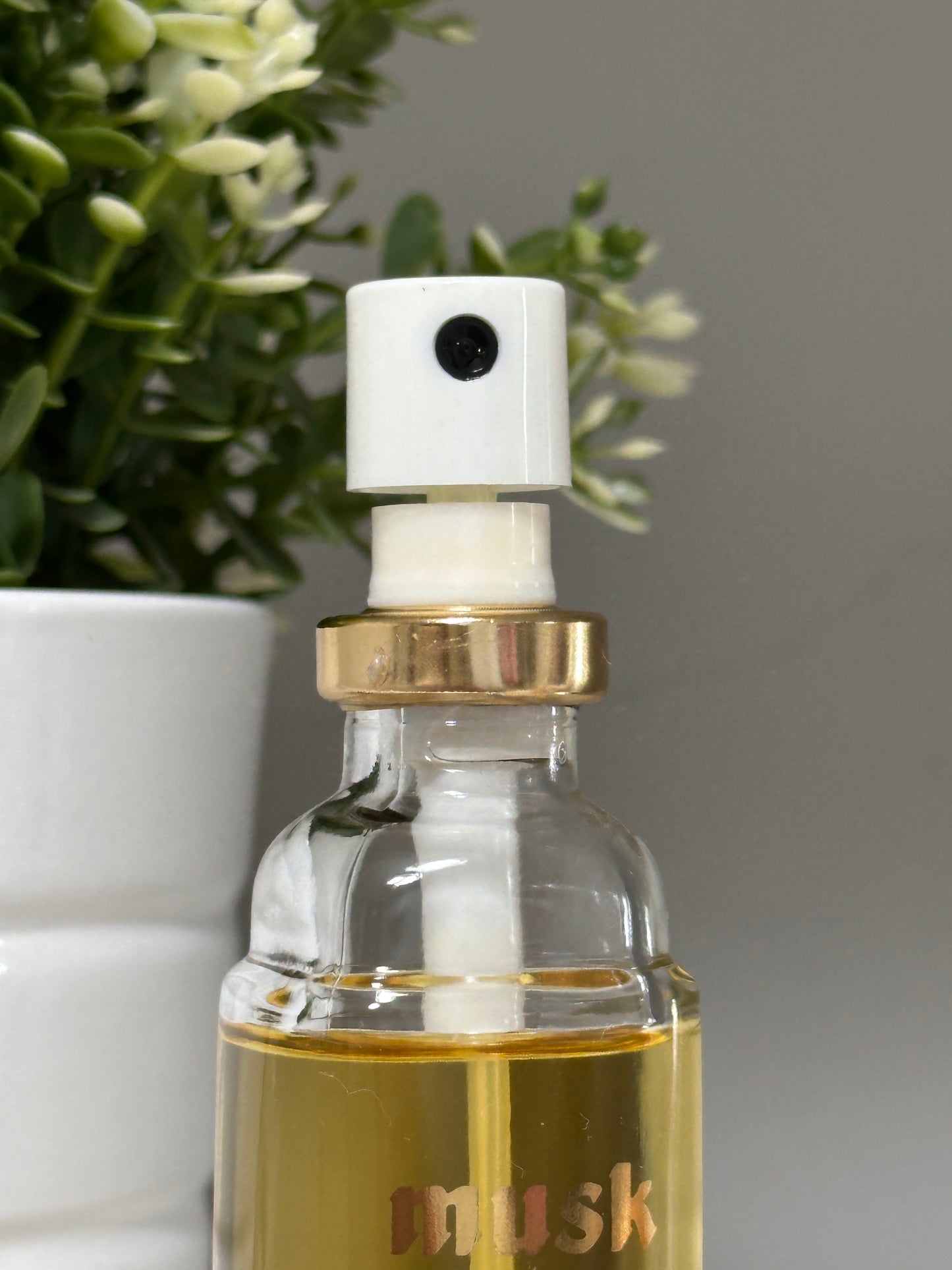 ASTOR MUSK COTY 50ML