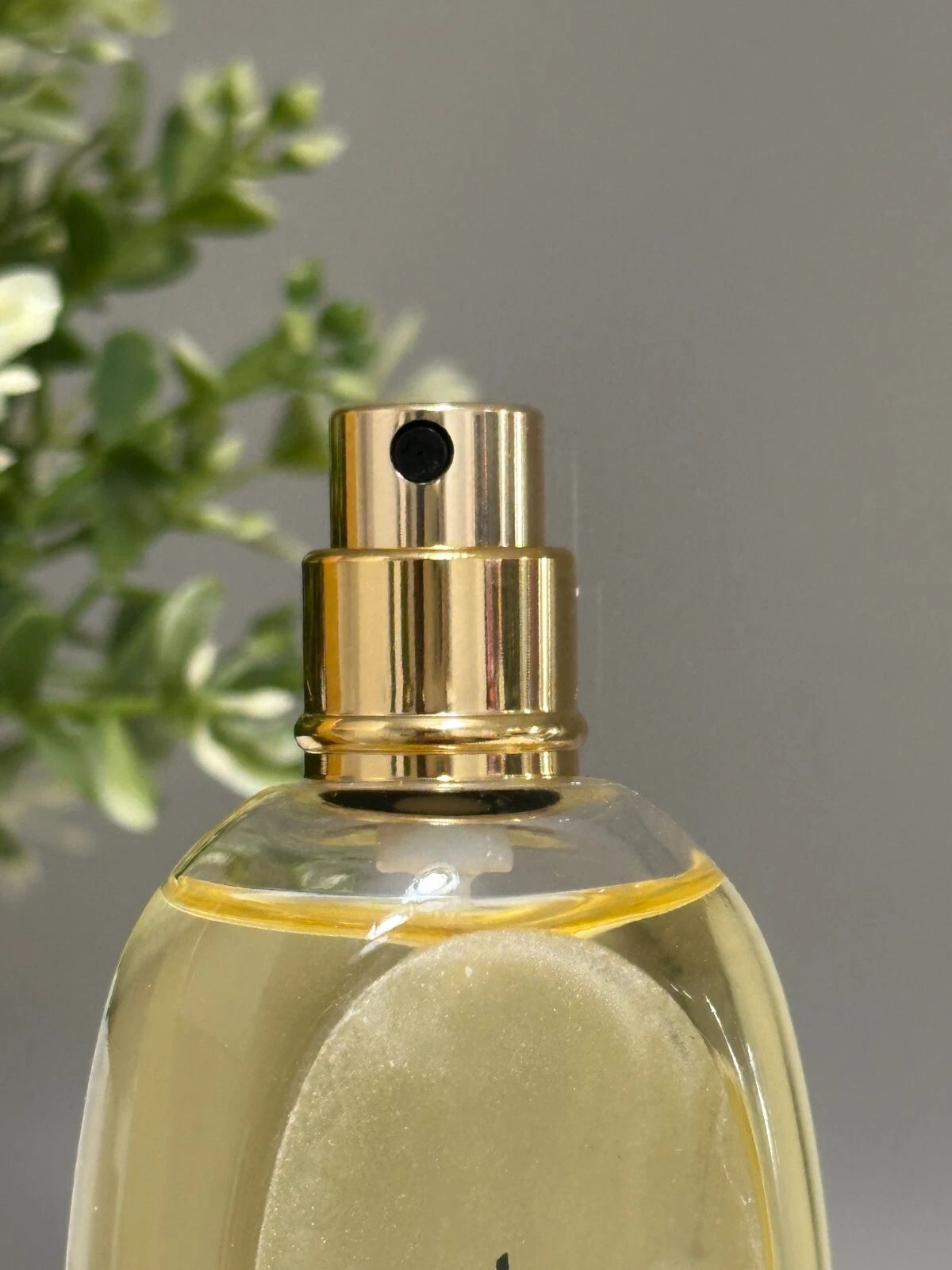 EXTRAVAGANCE D´AMARIGE Givenchy Eau De Toilette 50ml Spray