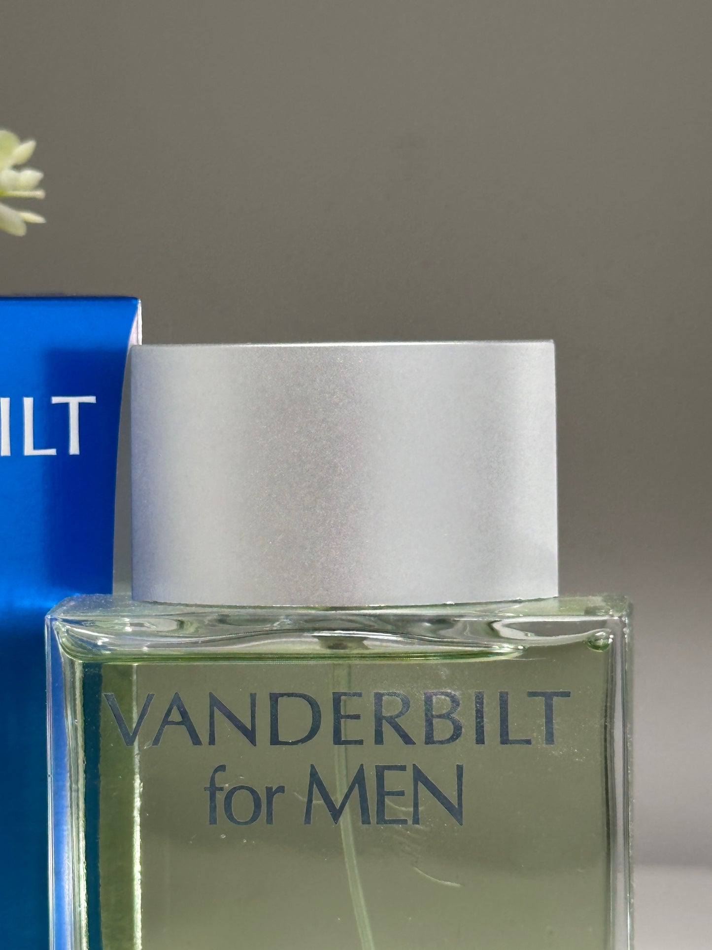 VANDERBILT FOR MEN EAU DE TOILETTE 100ML