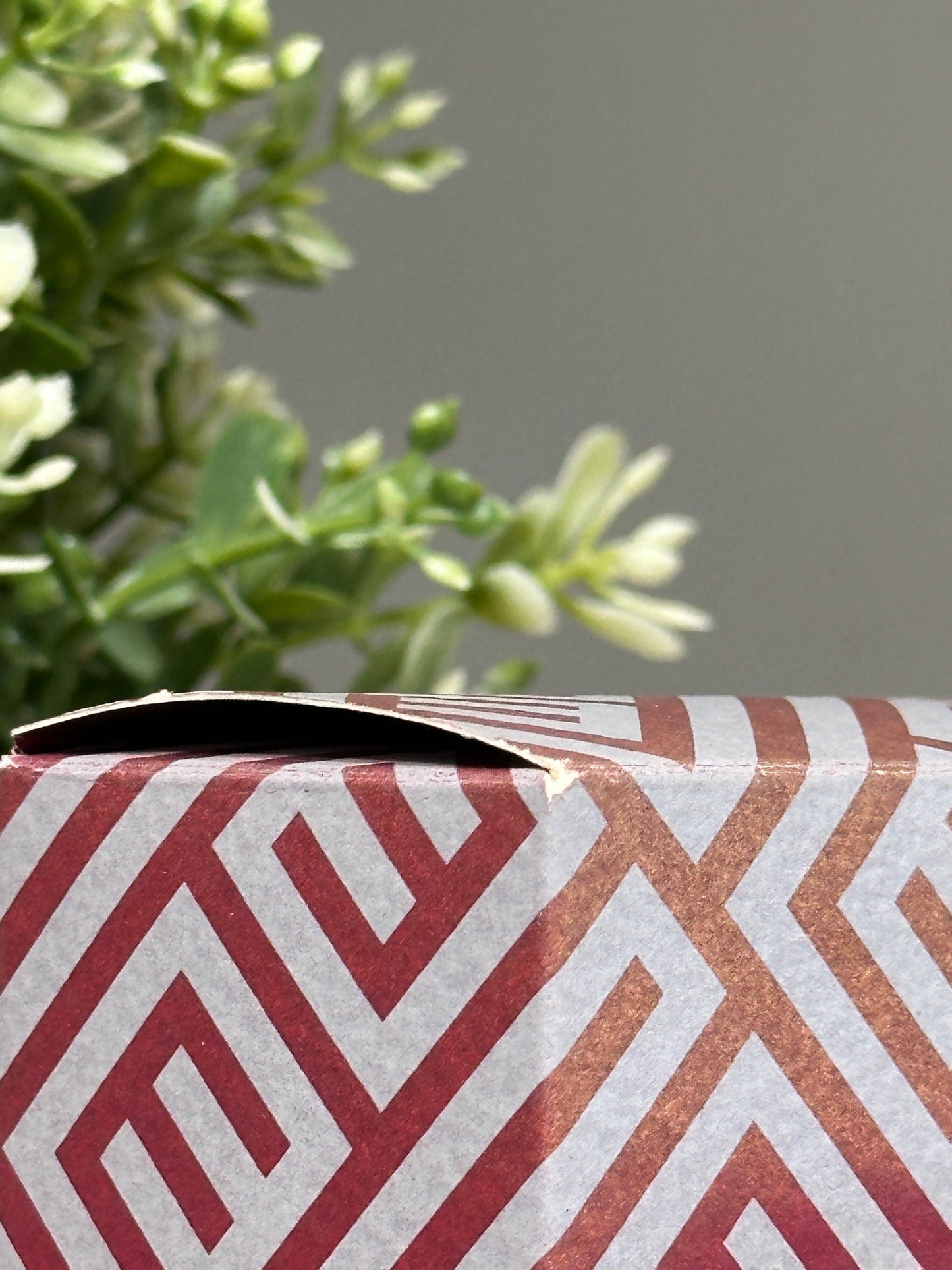 EMIDIO TUCCI EAU DE TOILETTE VINTAGE 100ML