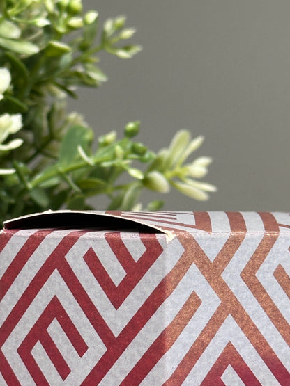 EMIDIO TUCCI EAU DE TOILETTE VINTAGE 100ML