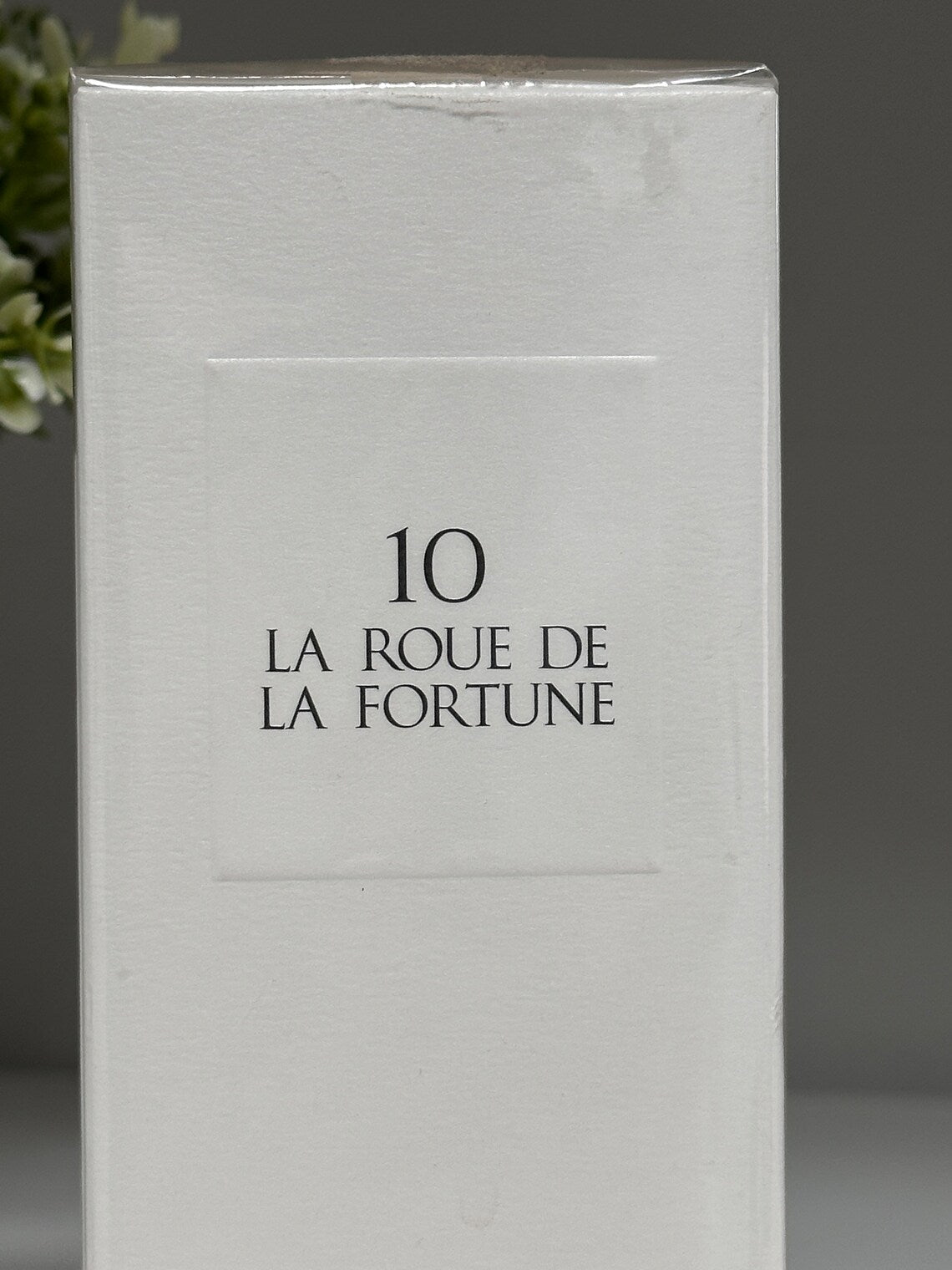 10 LA ROUE DE LA FORTUNE DOLCE GABBANA 100ML